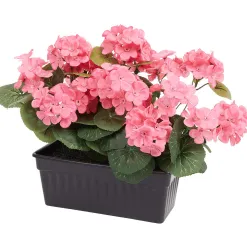 Merk Kunstplanten & -Bloemen><noscript><img width=