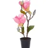 Merk Kunstplanten & -Bloemen>Kunstmagnolia In Pot