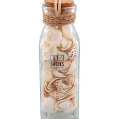 Merk Woonaccessoires>Schelpen In Glazen Fles