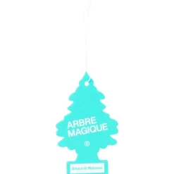 Arbre Magique Auto Accessoires> Geurboom