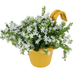 Merk Bloempotten></noscript>Balkonbloempot
