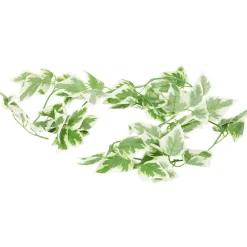 Merk Woonaccessoires></noscript>Bladerenslinger