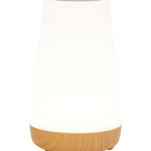 LSC Smart Connect Lampen>Deluxa Touch Lamp
