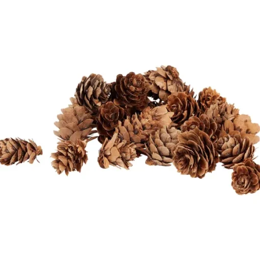 Merk Woonaccessoires>Home Accents Decoratiemateriaal