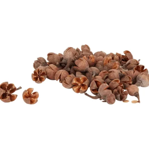 Merk Woonaccessoires>Home Accents Decoratiemateriaal