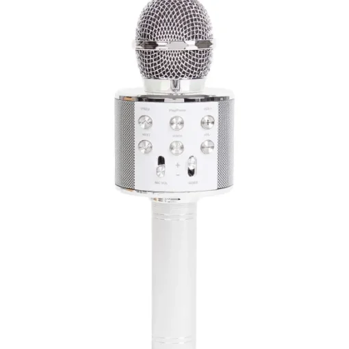 Lab31 Multimedia Accessoires>Karaoke-Microfoon
