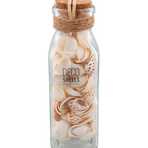 Merk Woonaccessoires>Schelpen In Glazen Fles