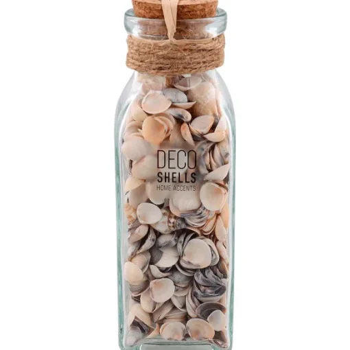 Merk Woonaccessoires>Schelpen In Glazen Fles