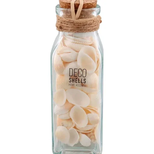 Merk Woonaccessoires>Schelpen In Glazen Fles