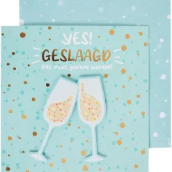 Office Essentials Kaarten></noscript>Wenskaart 'Geslaagd'